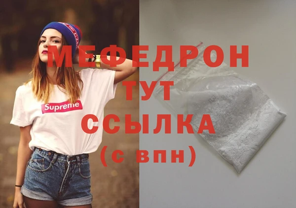 стаф Каменка