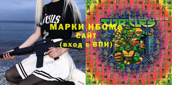 стаф Каменка