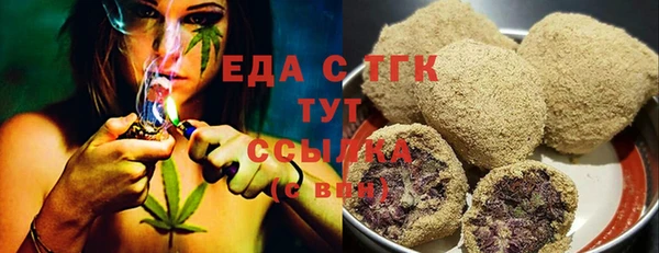 стаф Каменка