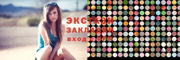 стаф Каменка