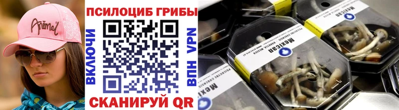 Купить закладки  Грайворон  Псилоцибиновые грибы Magic Shrooms 